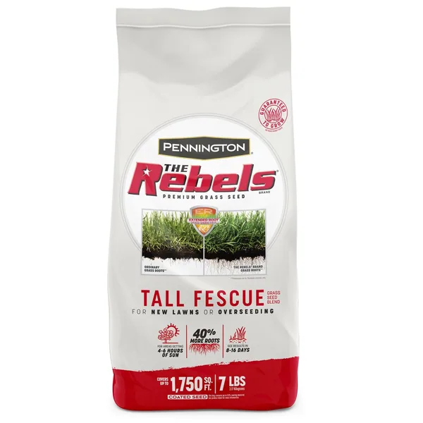 Penn 7 lbs The Rebels Tall Fescue Blend Pc