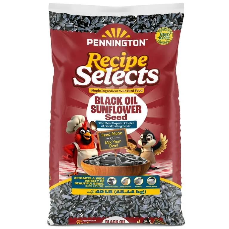 Penn Select 5 lbs Black Oil Sunflower Seed - Image 2