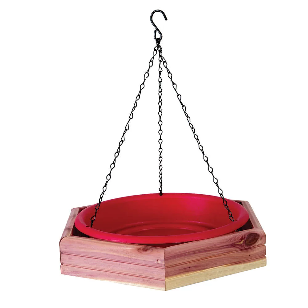 Pennington Cedar Hanging 2 in 1 Bird Bath/Feeder - Image 2