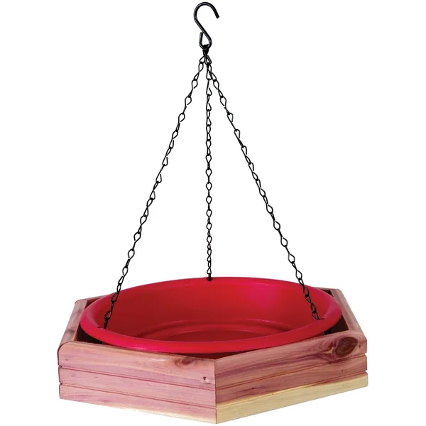 Pennington Cedar Hanging 2 in 1 Bird Bath/Feeder