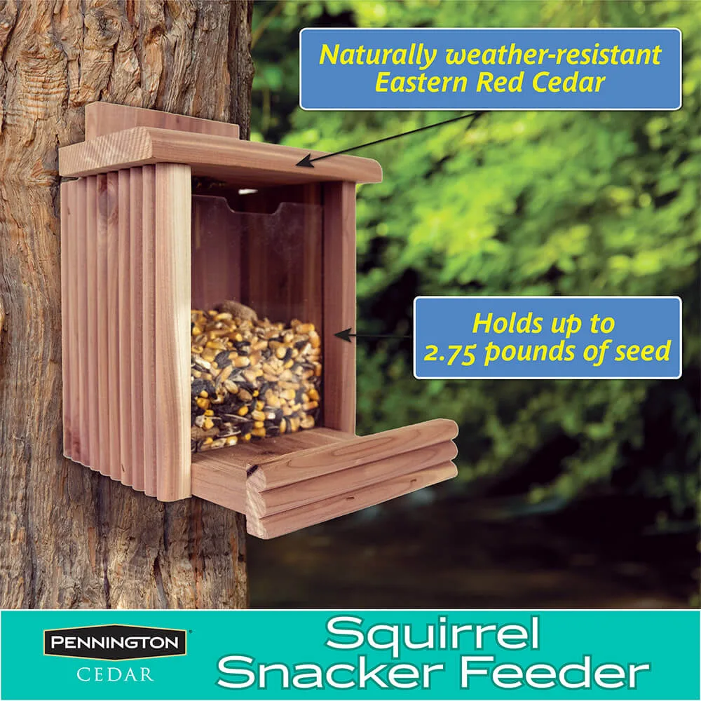 Pennington Cedar Squirrel Snacker - Image 2