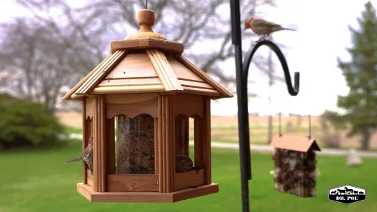 Pennington Dr. Pol Cedar Gazebo Bird Feeder - Image 2