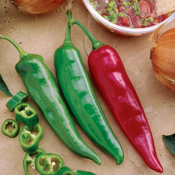 Peppers, Garden Salsa Hybrid Treated 100 Seed Count