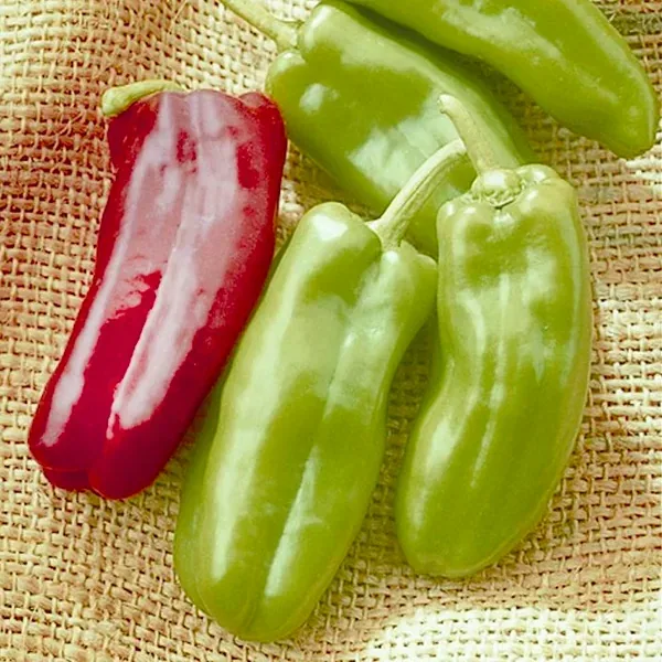 Peppers, Giant Marconi Treated 100 Seed Count - Image 2