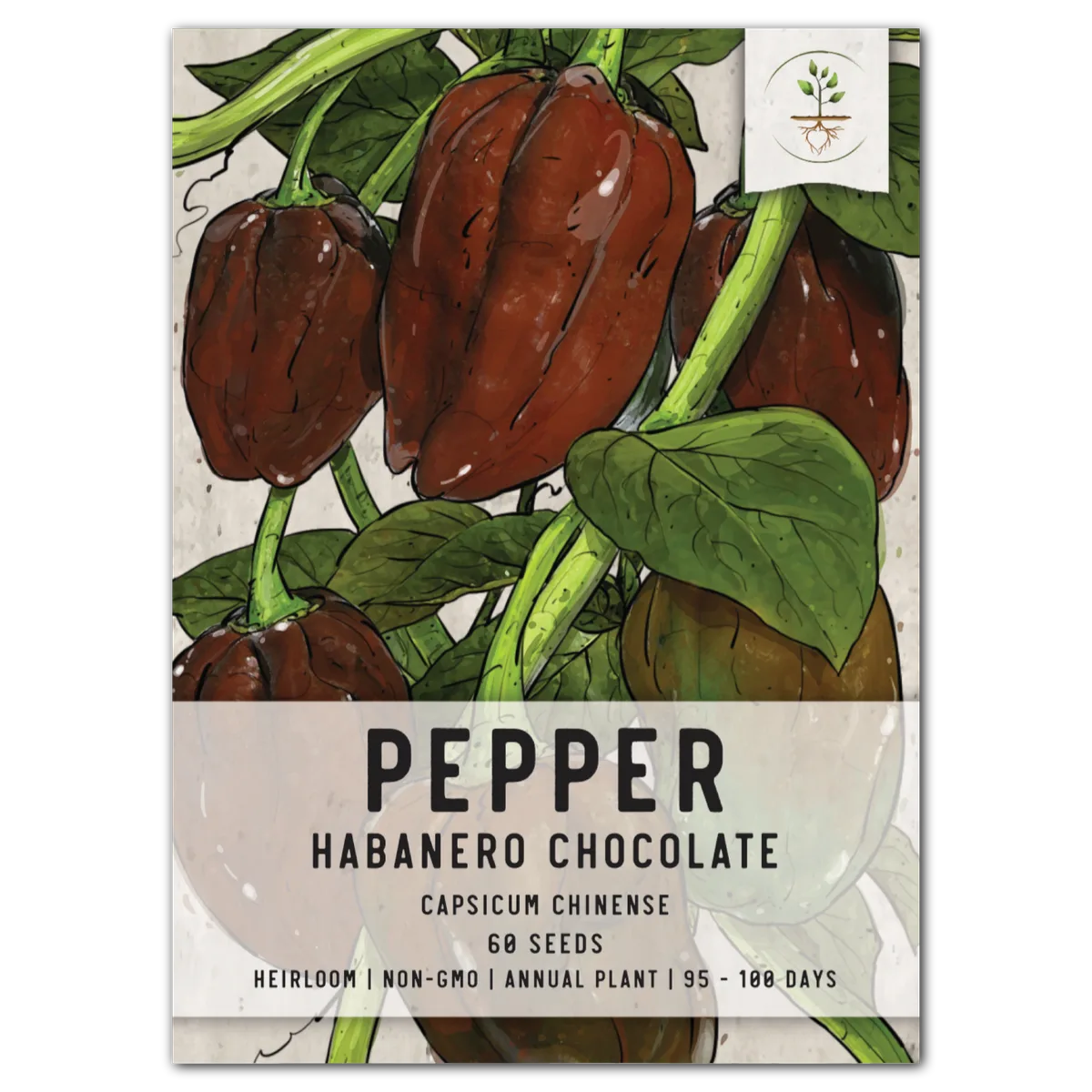 Peppers, Habanero Chocolate 100 Seed Count - Image 2