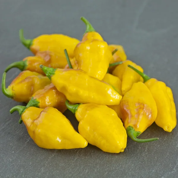 Peppers, Habanero Yellow 100 Seed Count