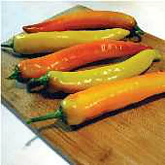 Peppers, Hot Sunset 75mg - Image 2