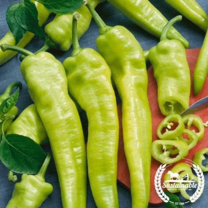 Peppers, Hungarian Hot Wax 1000 Seed Count - Image 2