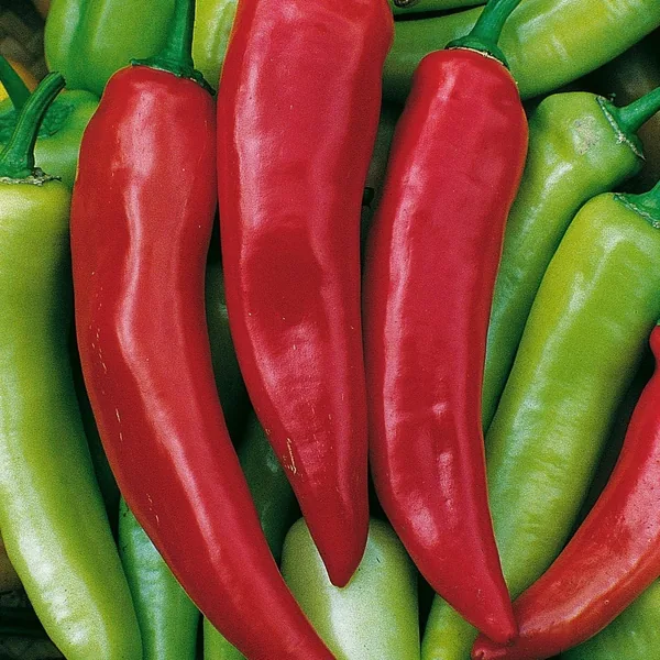Peppers, Hungarian Hot Wax 1000 Seed Count