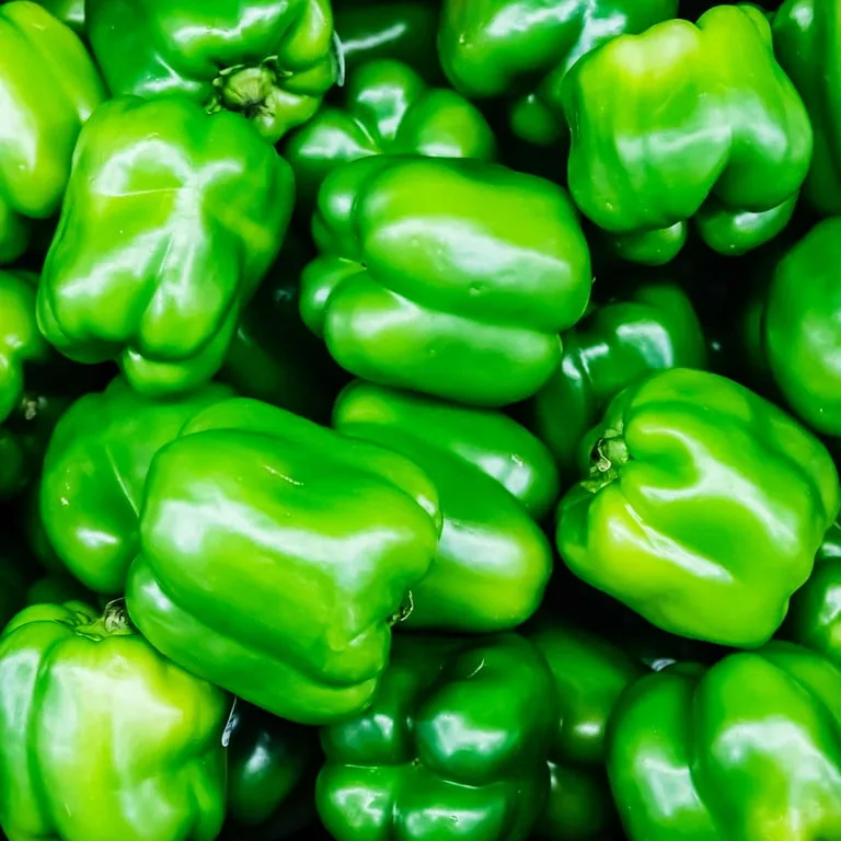 Peppers, North Star Treated 100 Seed Count - Image 2