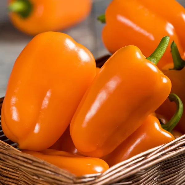 Peppers, Orange Blaze Treated 100 Seed Count