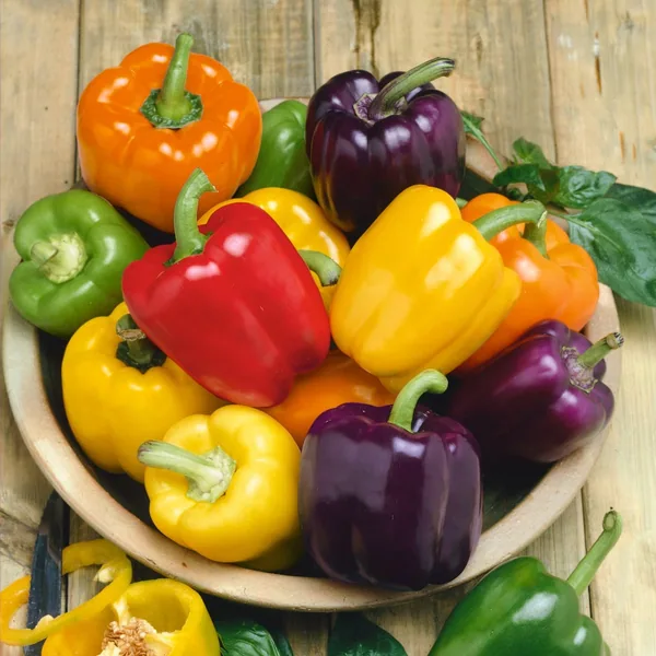 Peppers, Rainbow Bell Blend 1000 Seed Count