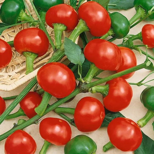 Peppers, Red Cherry Hot 1000 Seed Count