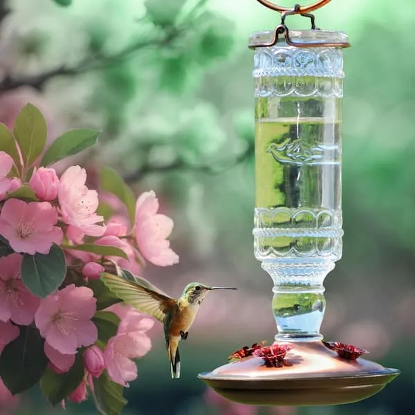 Perky Pet 10oz Clear Hummingbird Antique Bottle Feeder - Image 2