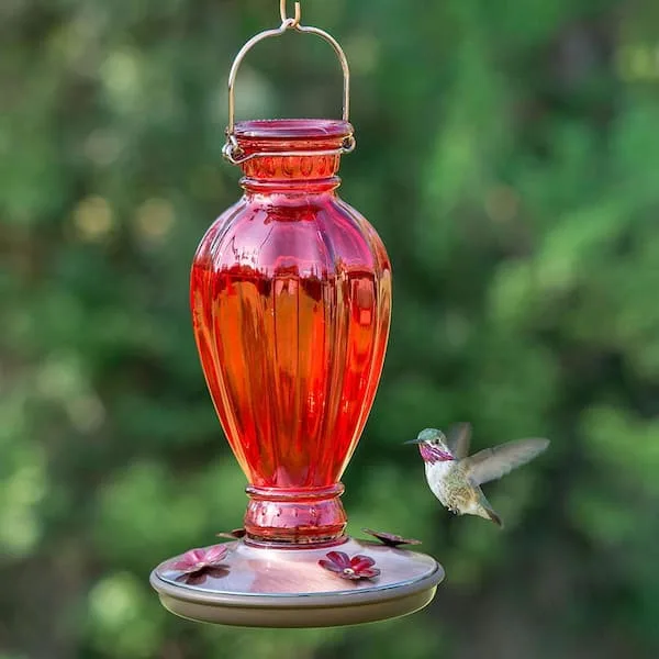 Perky Pet 18oz Daisy Vase Red Vintage Hummingbird Feeder - Image 2