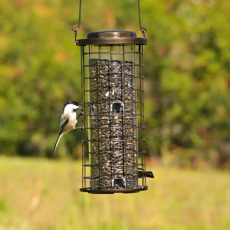 Perky Pet 3 lbs Squirrel Stumper Feeder - Image 2