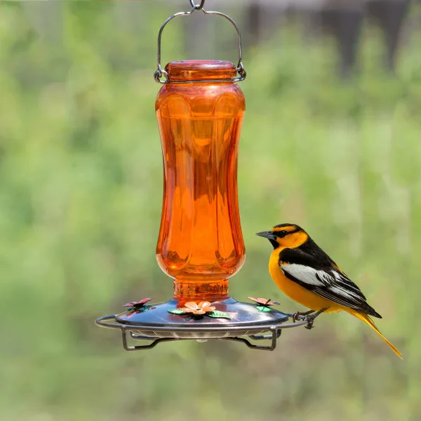 Perky Pet 30oz Oriole Glass Feeder - Image 2