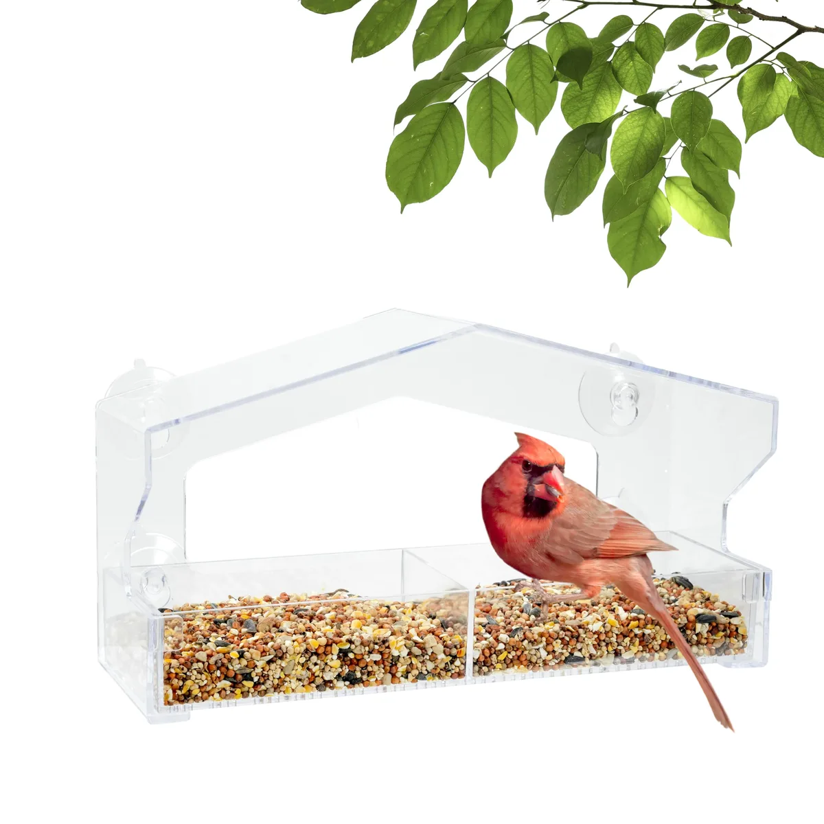 Perky Pet.5 lbs Small Window Feeder - Image 2