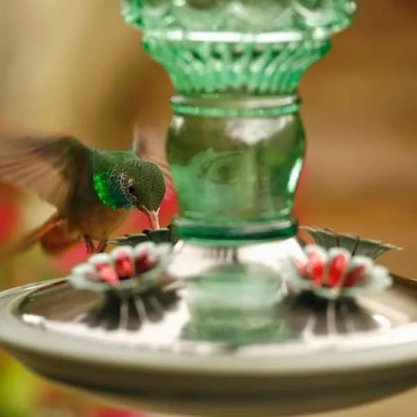 Perky Pet Hummingbird Green Antique Bottle Feeder - Image 2