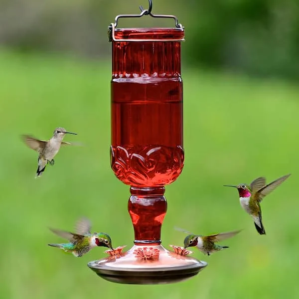 Perky Pet Hummingbird Red Antique Bottle Feeder - Image 2