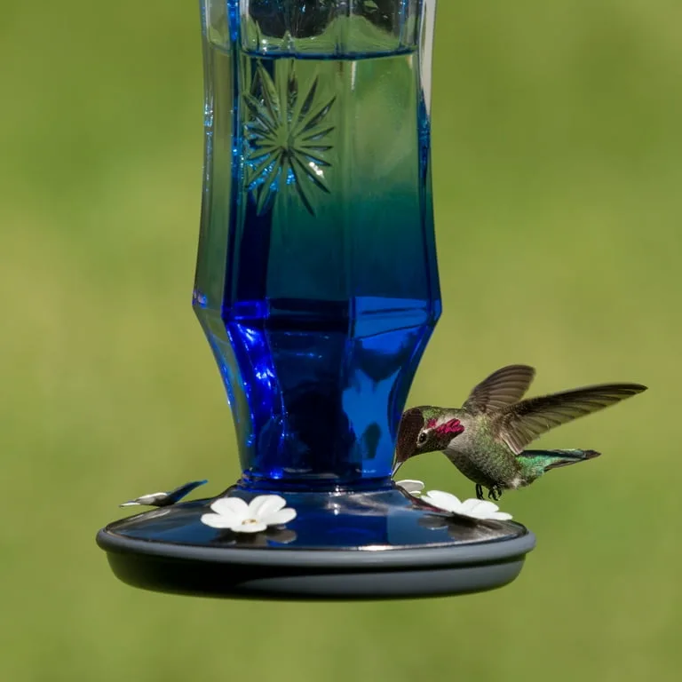 Perky Pet Hummingbird Sapphire Starburst Vintage Feeder - Image 2