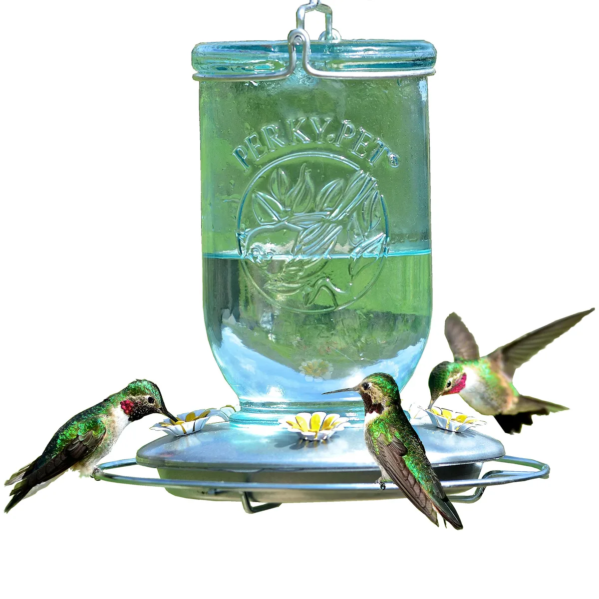 Perky Pet Mason Jar Hummingbird Feeder - Image 2