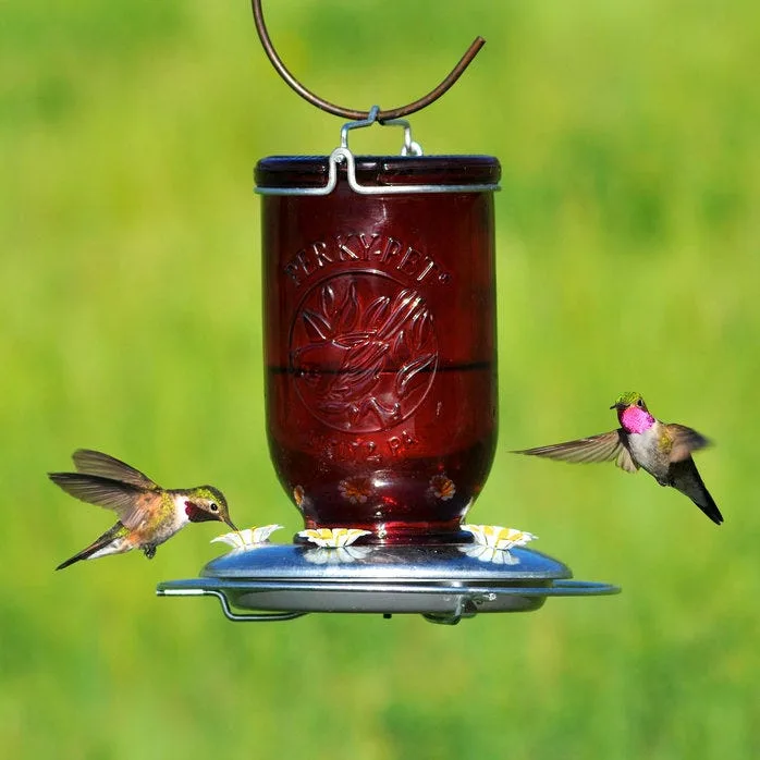 Perky Pet Red Mason Jar Hummingbird Feeder - Image 2