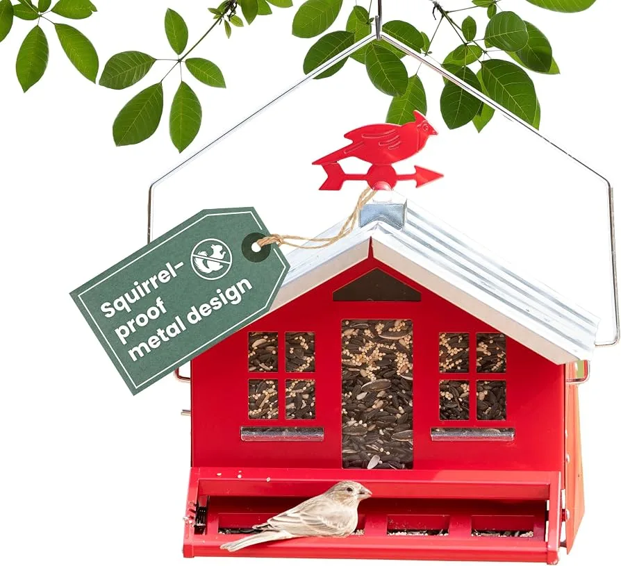 Perky Pet Squirrel Be Gone 8 lbs Capacity Feeder - Image 2