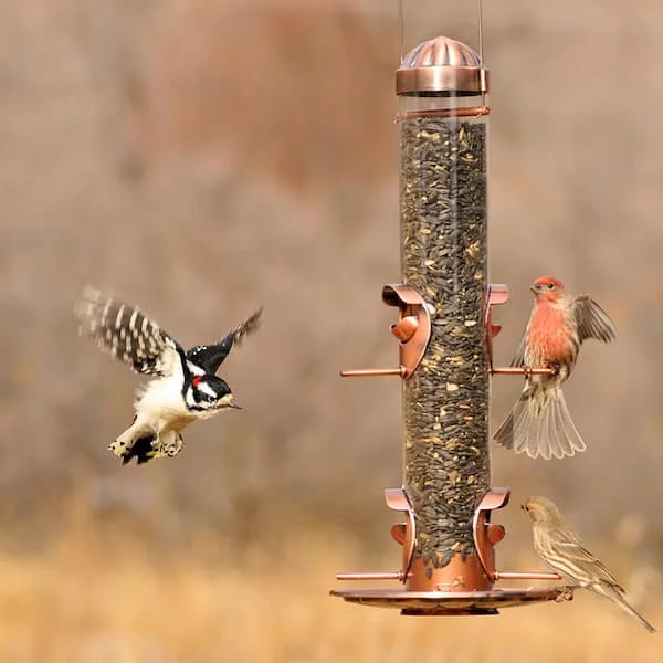 Perky Pet Squirrel Be Gone Max Feeder 1.7lb Capacity - Image 2