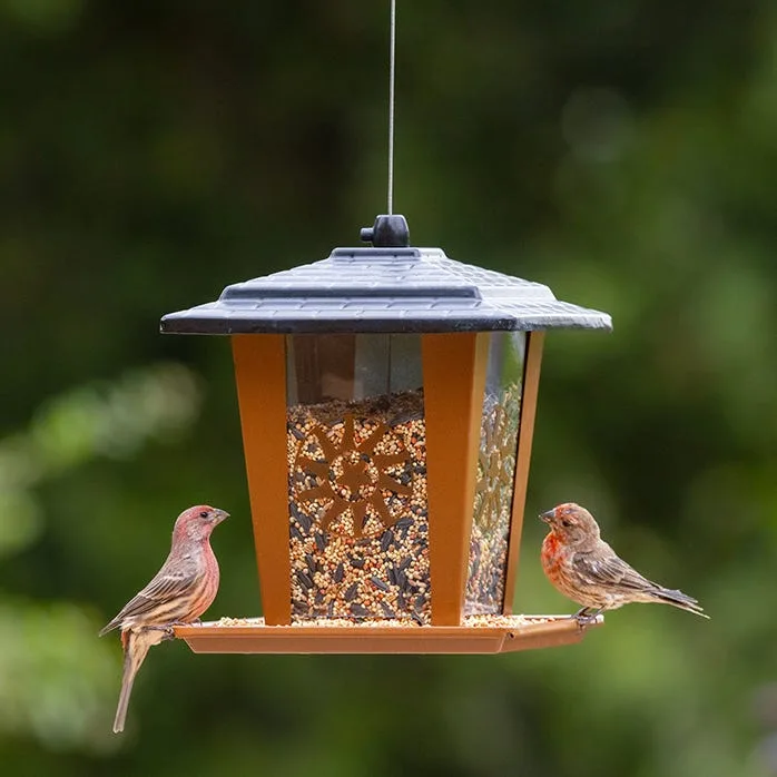 Perky Pet Sun & Star Lantern Feeder - Image 2