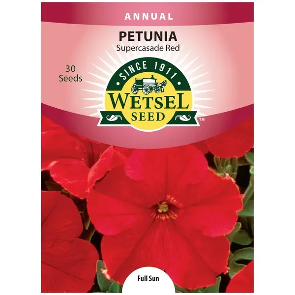 Petunia, Red Supercascade 30 Seed Count - Image 2