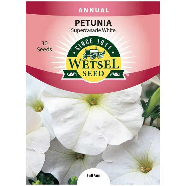 Petunia, White Supercascade 30 Seed Count - Image 2
