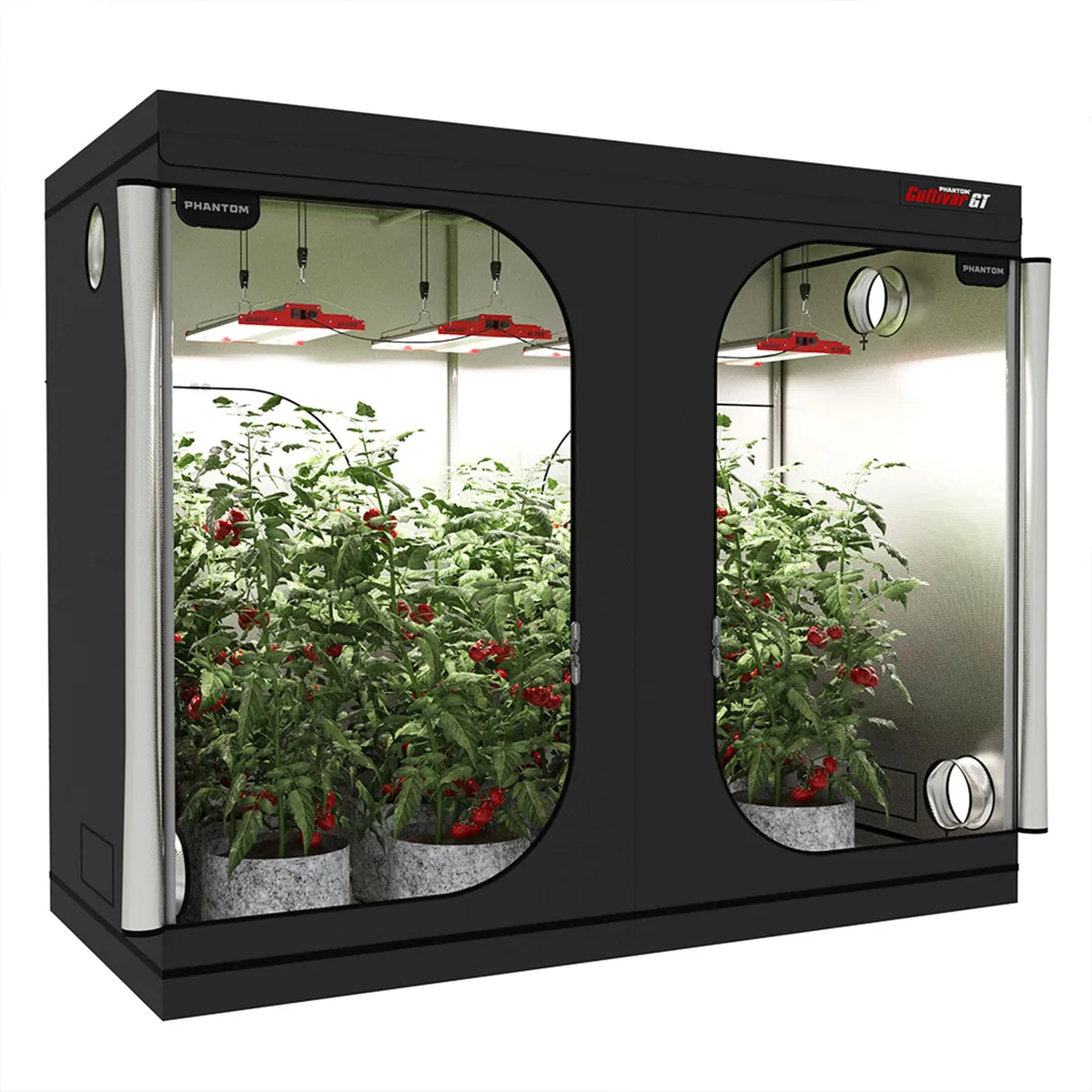 PHANTOM Cultivar GT84, 8X4 Grow Tent - Image 2