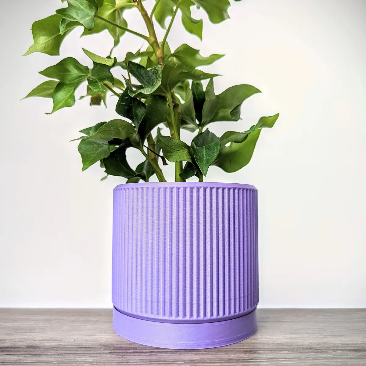 PHG 5"x5.5" Fluted Cylinder Planter Lavender - Image 2