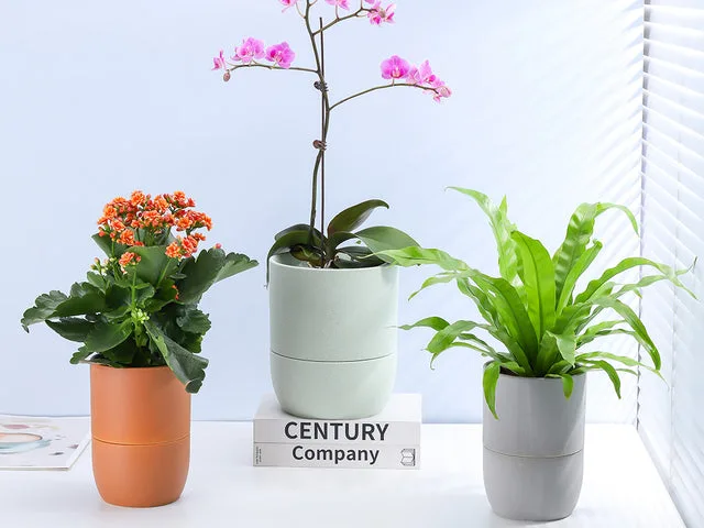 PHG 5"x5.5" Urban Dweller Self-Watering Pot Sand Dim Grey - Image 2