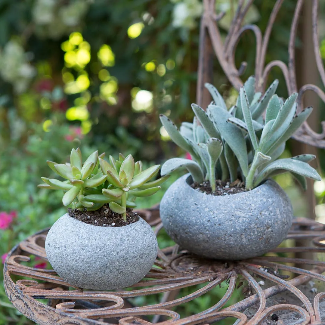 PHG 8"x3" Geometry Low Sphere Planter Polished Concrete - Image 2