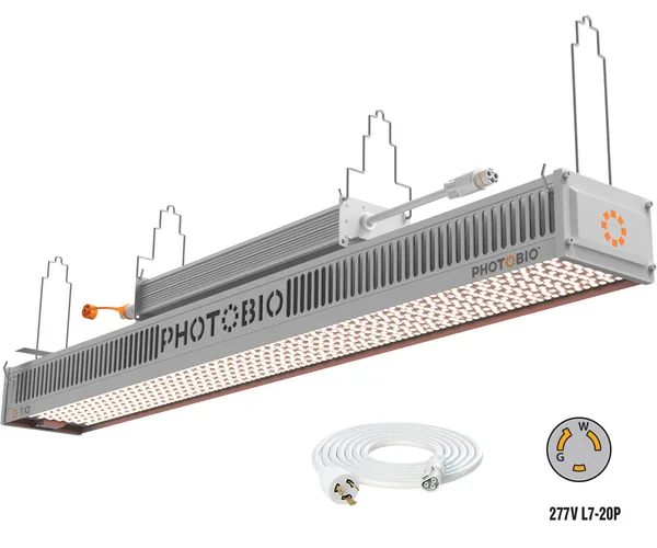 PHOTOBIO TX2 LED, 800W, 200-480V S5, (10' 277V L7-20P Cord)