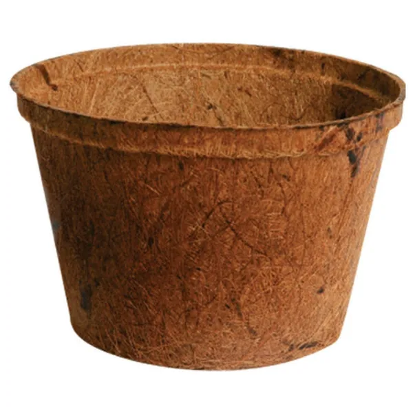 PlantBest 6" Biodegradable Coconut Coir Pots (Case of 448)