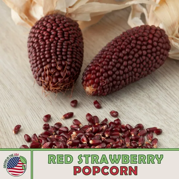 Popcorn, Red Strawberry 1/2lb