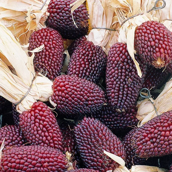 Popcorn, Red Strawberry
