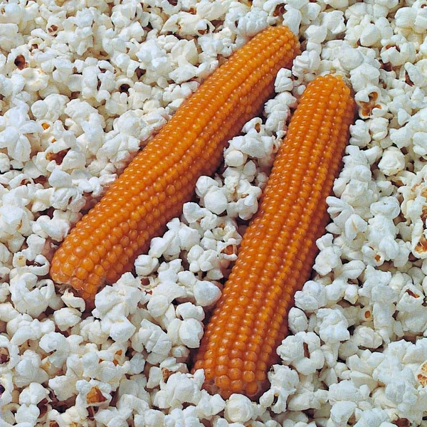 Wetsel South American Popcorn - 10 g Packet - Image 2