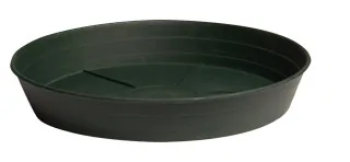 Premium Green Saucer, 8" - Pack of 25