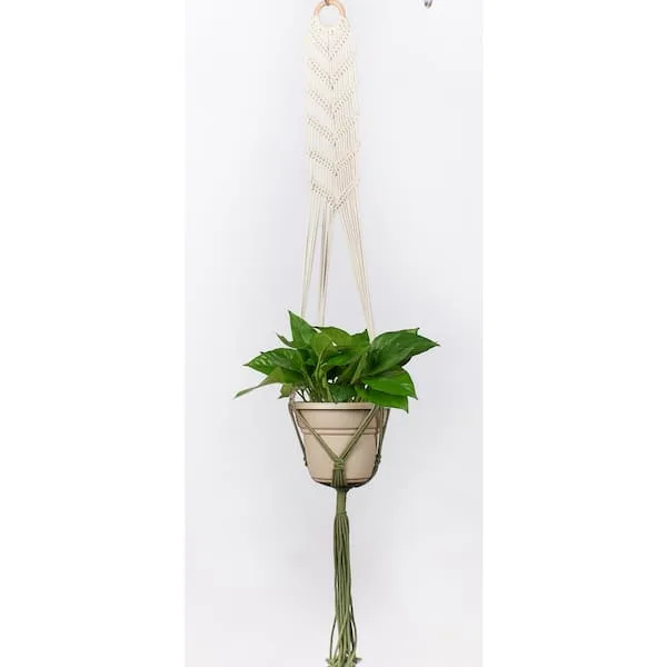 Primitive 48" Plant Hanger Plant Hammock Olive - Image 2