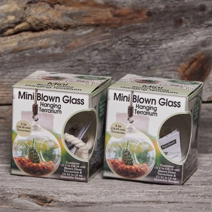 Primitive Boxed Mini Hanging Terrarium - Image 2