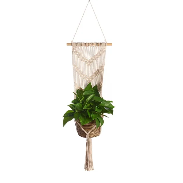 Primitive Wall Planter V