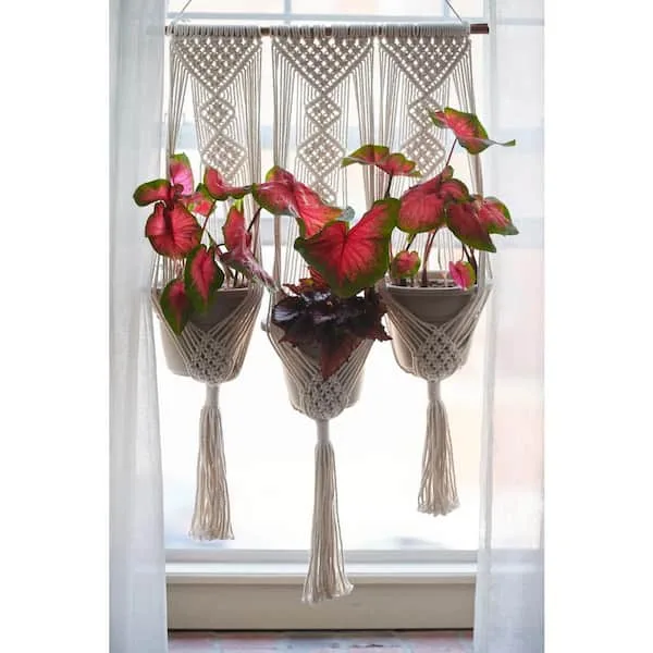 Primitive Wall & Pot Hanger - Image 2