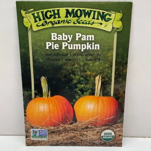 Pumpkin, Baby Pam 3 Grams - Image 2