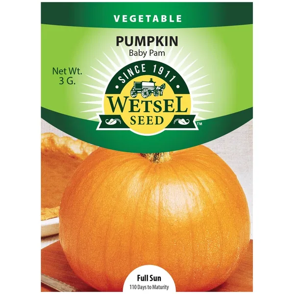 Pumpkin, Baby Pam 3 Grams