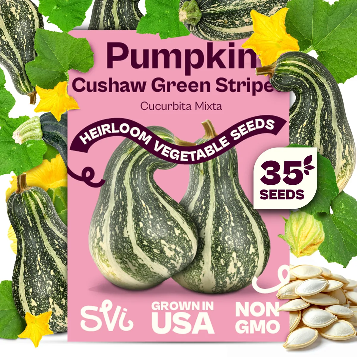 Pumpkin, Green Striped Cushaw 4 Grams - Image 2