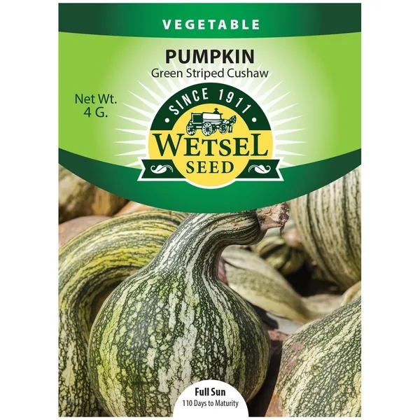 Pumpkin, Green Striped Cushaw 4 Grams